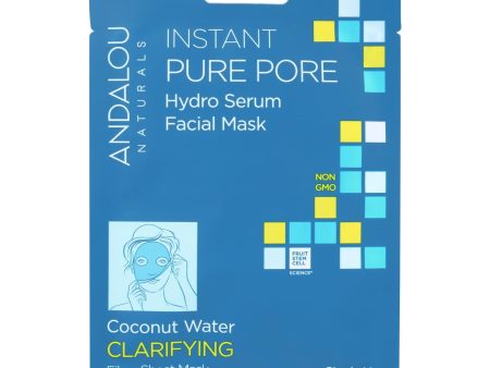 Andalou Naturals Instant Pure Pore Facial Mask - Coconut Water Clarifying - Case Of 6 - 0.6 Fl Oz Fashion