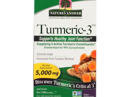 Nature s Answer - Turmeric-3 - 90 Vegetarian Capsules Hot on Sale