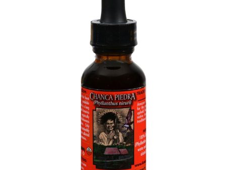 Amazon Therapeutic Labs - Chanca Piedra - 1 Fl Oz on Sale